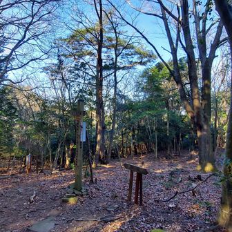 32.喜桜山まで戻ってきた。
西から上って来たが、下りは北西の方向のピークだらけの尾根で。
さあ、ゲザールでござーる🐒