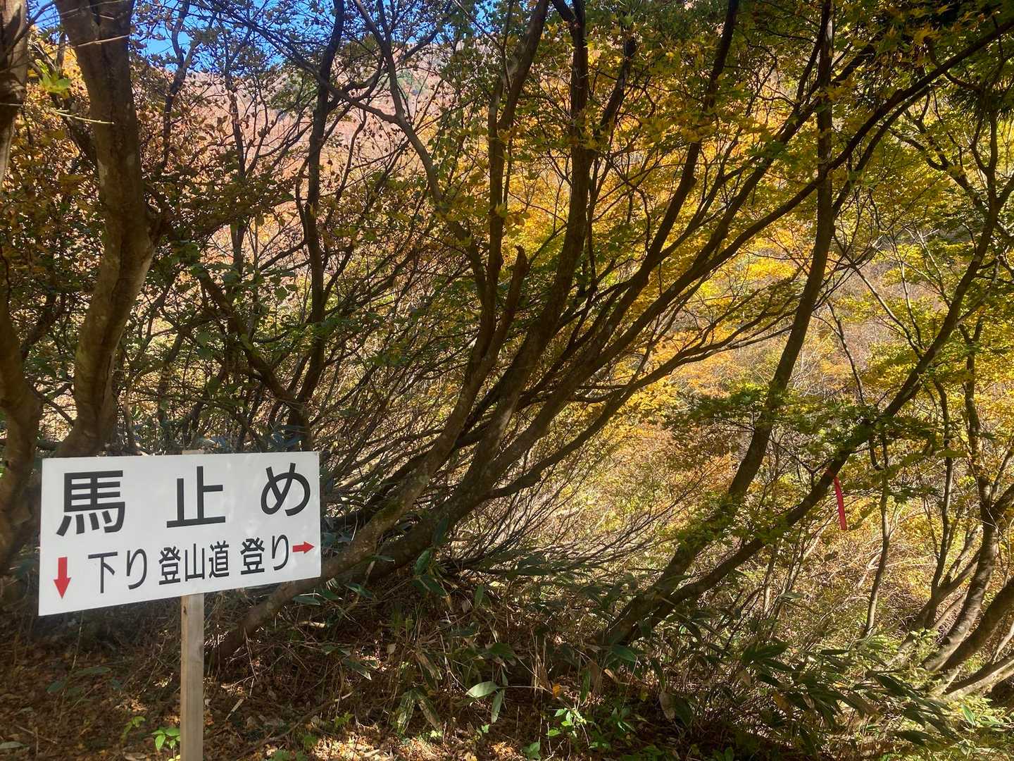 馬止めから坂を少し降り