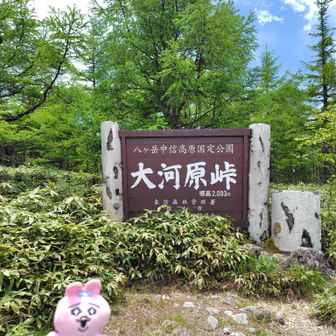 車がたくさん停まってました。ここから双子山へ