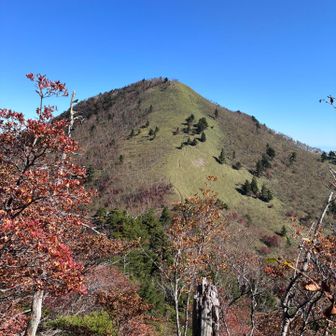 しばらく進み、目の前に現れた山を見て、「あれ、登るの？😳」と思わず立ち止まる⛰️