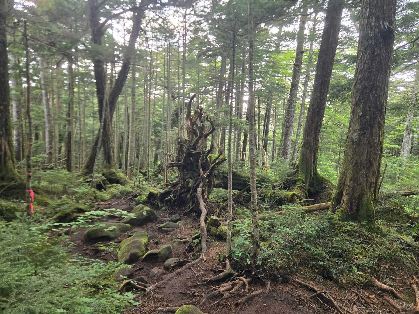 御嶽登山道入口-継子岳-飛騨頂上-摩利支天乗越-摩利支天山 往復コースの写真