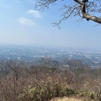 黄砂とか花粉やらで全体的に霞んで見えました