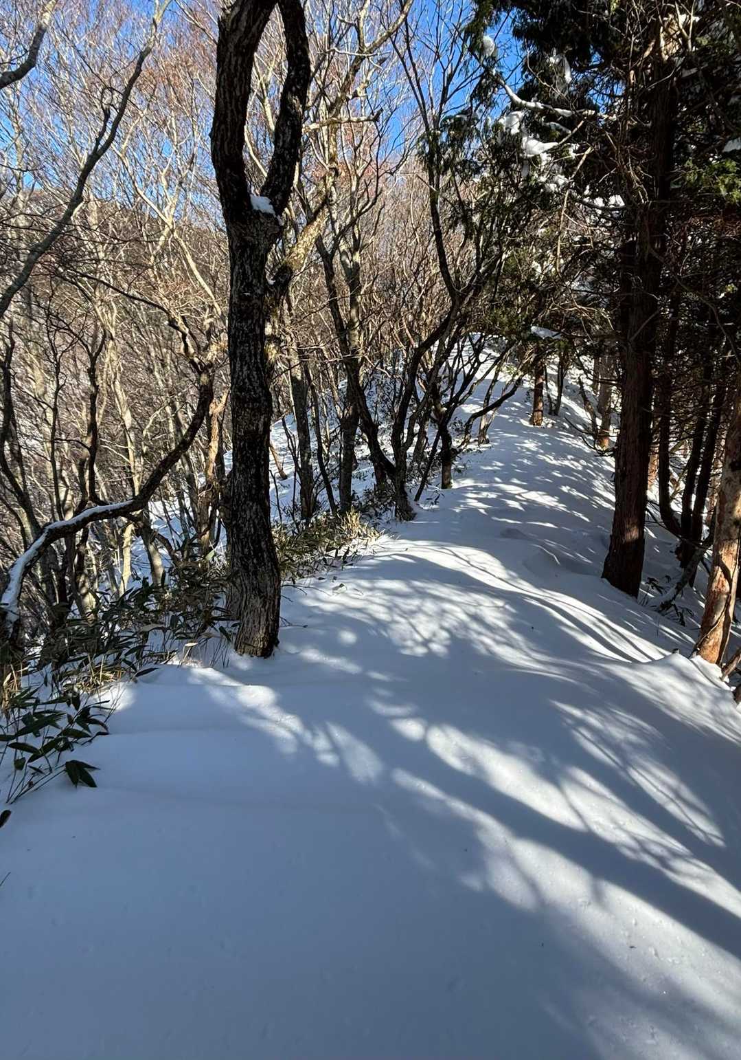 深雪の登りが続く

雪山って こんなにしんどかったっけ？

しんどいとわかっていながら、それでも来てしまうのは何故？
