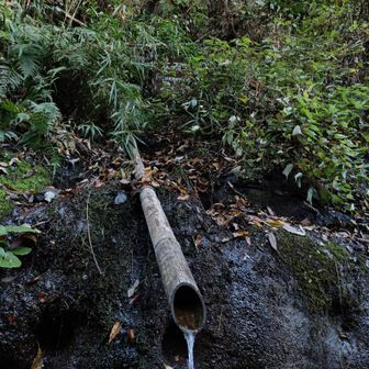 鎌倉五名水の一つ、梶原太刀洗水。湧き水との事ですが、あまり清々しい感じはありません。鎌倉霊園の裏ですが、民家は近くにありません。飲めるのかもしれませんが、私はうがいだけさせてもらいました。まったく冷たくはありません。