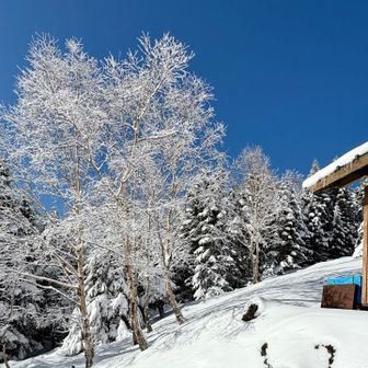 八ヶ岳の山小屋🛖は年末年始開設してるところが多いようです

行けたら行きたい➡️行かない🤣