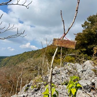 倉骨山