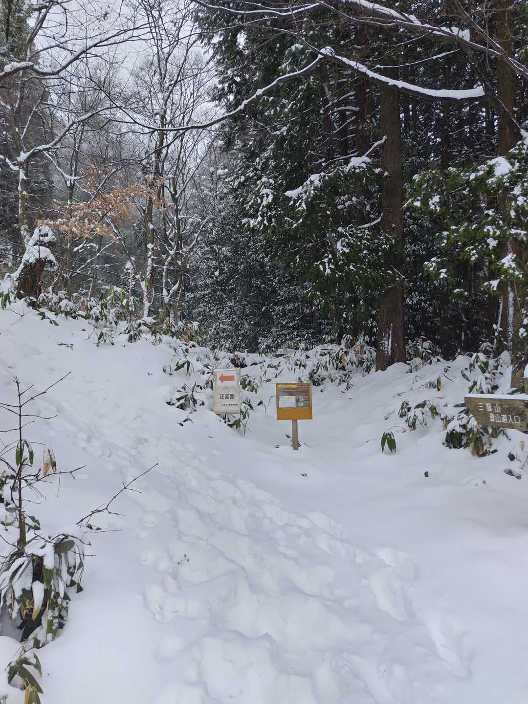 女夫松登山口-孫三瓶山 往復コースの写真