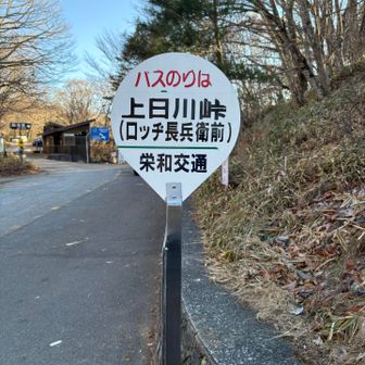 駐車場に何台か車ありました。トイレもあり