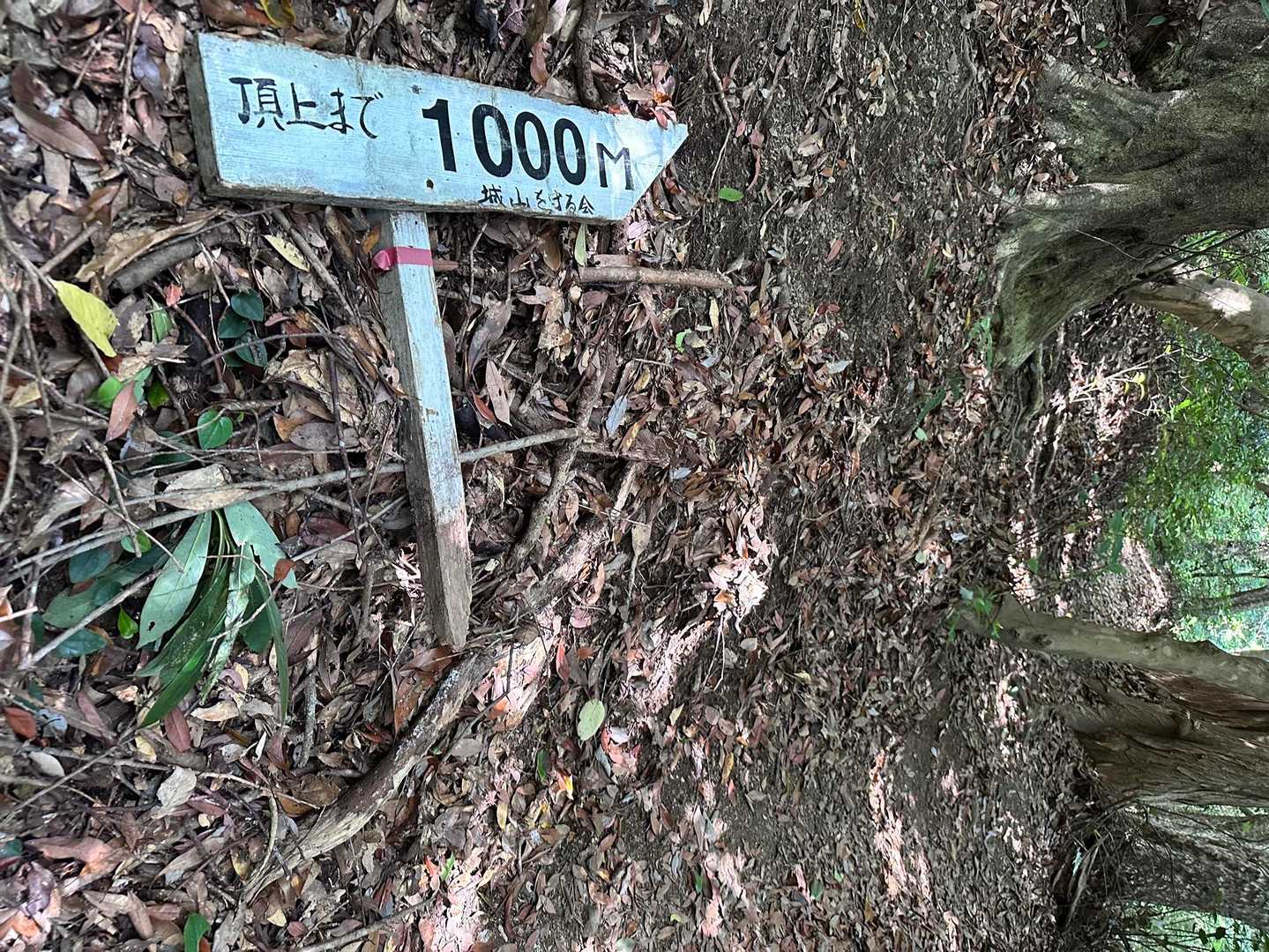 _( :⁍ 」 )_