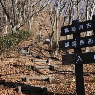 遊歩道のようだ