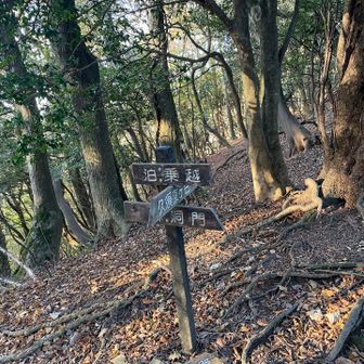 道はなんとなく見えるのですが、初心者はわからなくならないかなあ。まあ、尾根芯で歩いたら問題ありません。また、標識は曲がるところとかに設置されています。