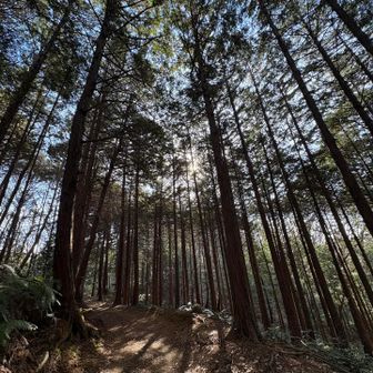 自転車乗った人がいっぱい通る〜