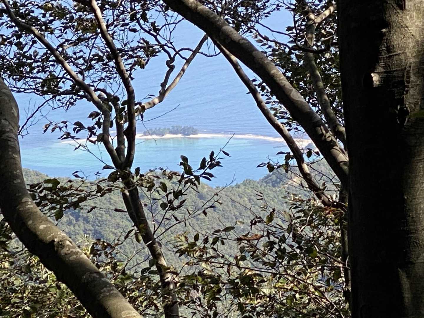 あっ、水島✨✨
去年登った蠑螺ヶ岳からはよく見えました。
海の青とわずかな白い砂浜ががなんとも言えず美しいです💓