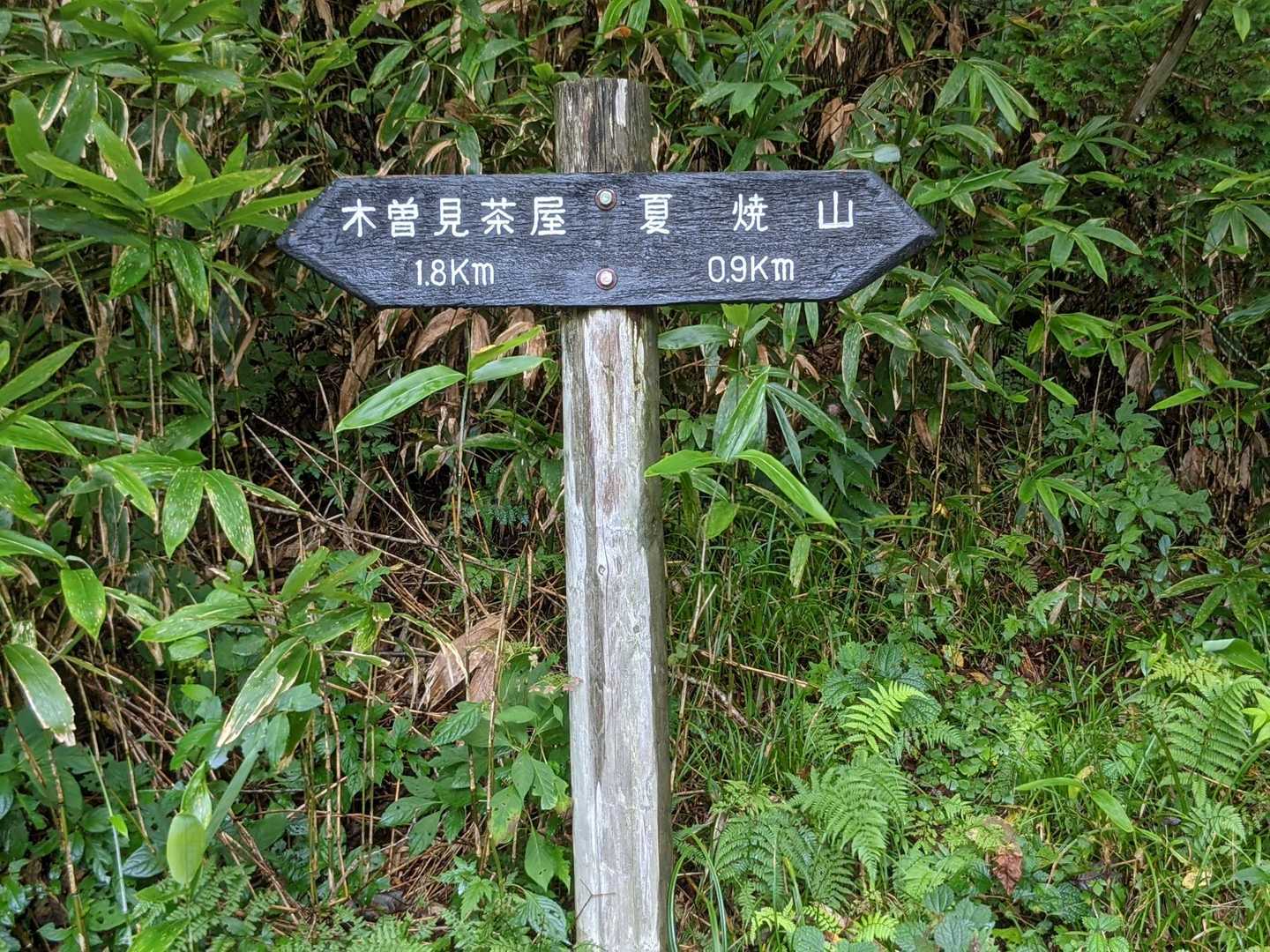 今度は夏焼山に行きます。🏔