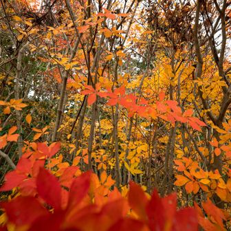 名残惜しいけど帰ります！