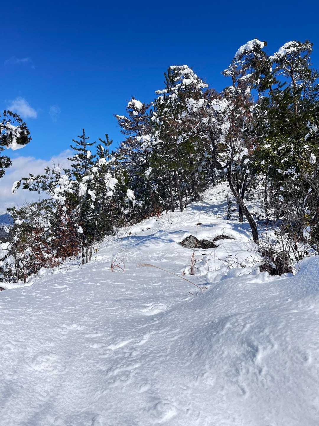 千疋北山入口-千疋北山 往復コースの写真