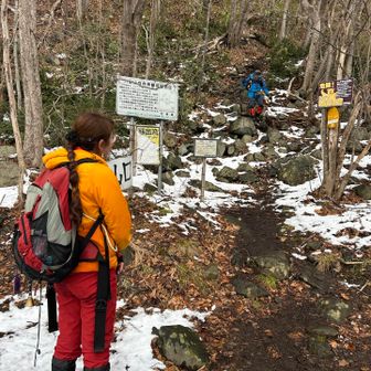 要介護登山者を見守るケア様