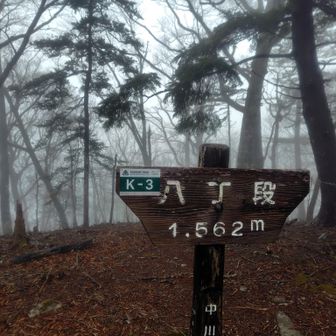 八丁段到着。なぜかここだけ電波が届いた。ここまでは昨年来ましたが、今回はさらに先を目指します