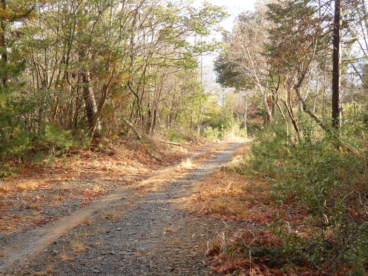鎌掛峠-猪ノ鼻ガ岳-砥山-丸茅山-西山 往復コースの写真