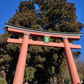 月末か来月早々辺りに滝の凍結度合い
見に来たいな次は三ツ峠駅から登るか