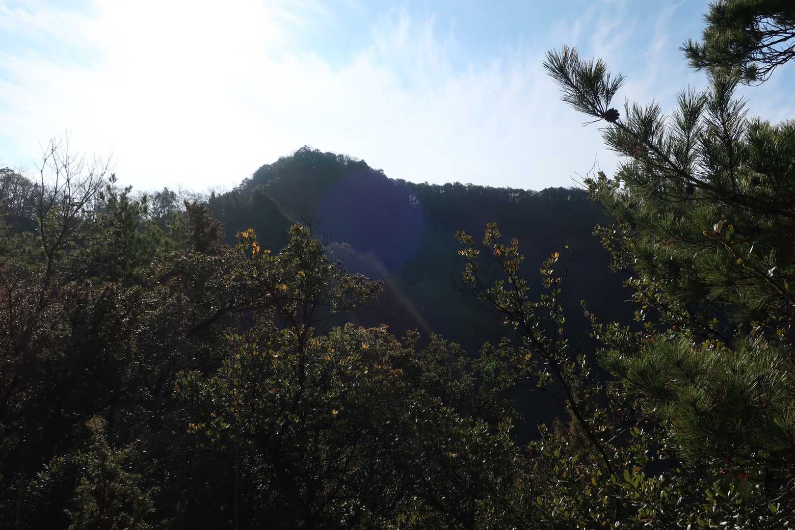 虎丸山 往復コースの写真