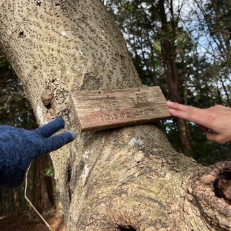扇山への登りが1番の核心部〜登れた🙌