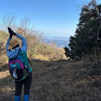 のびねこ

インパルス飛んでるんだって💖