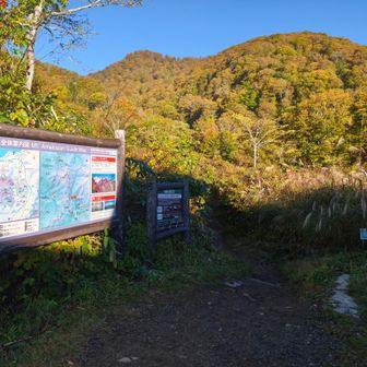 20分ちょいあるいて本来のスタート値へ
雲一つない天気に期待も膨らむ
なお前回の羊蹄山は全く同じ状況で、山頂登頂時にクッソガスりましたw
