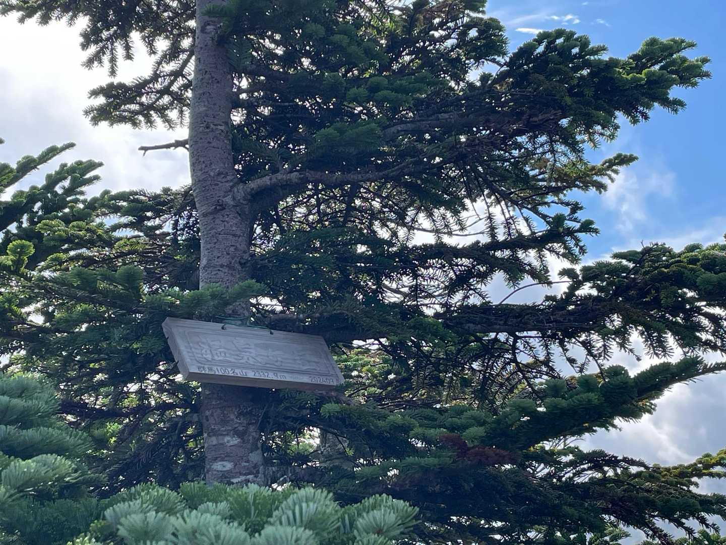 頂上碑その三