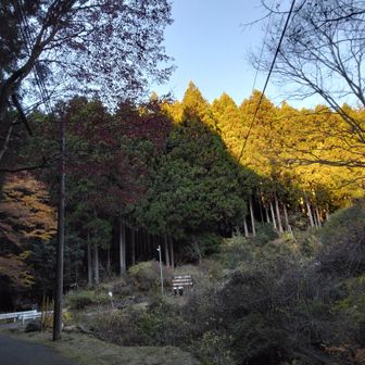 しばらく舗装路歩き