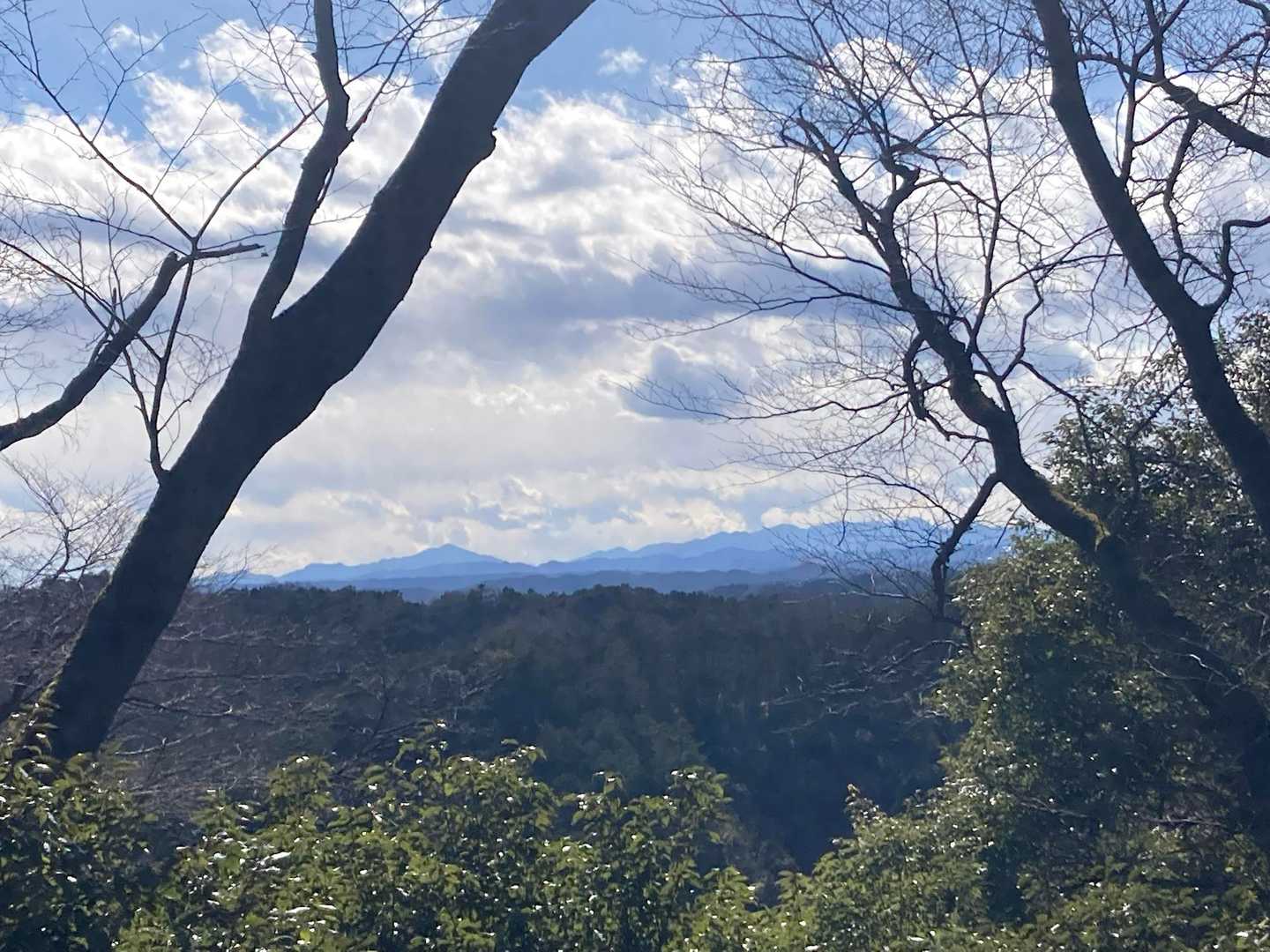 名栗方面の山かな？