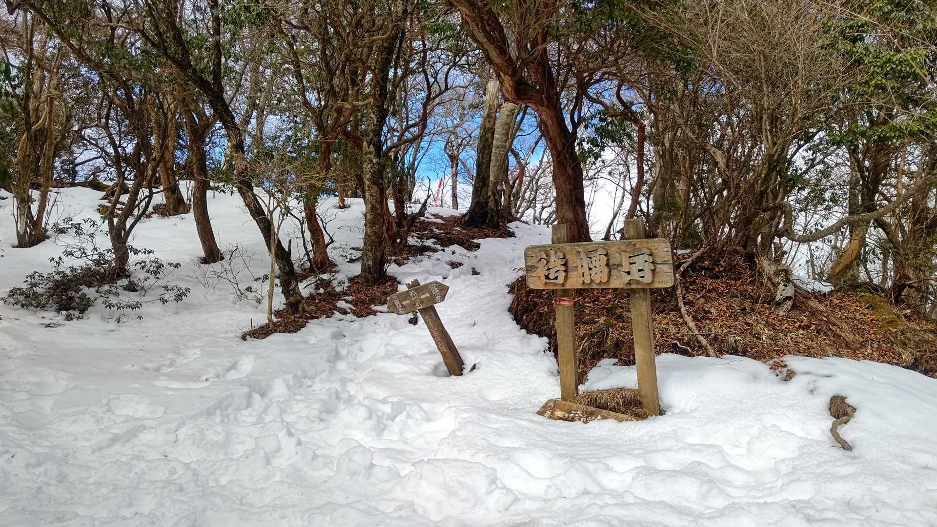 何度かアップダウンを繰り返して袴腰岳山頂に到着