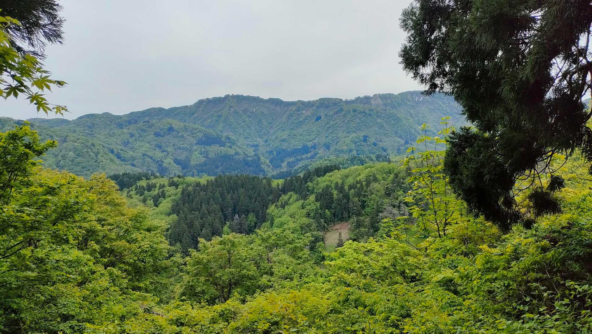 この辺りから、ちょこちょこ鋸山が見えまーす🎶