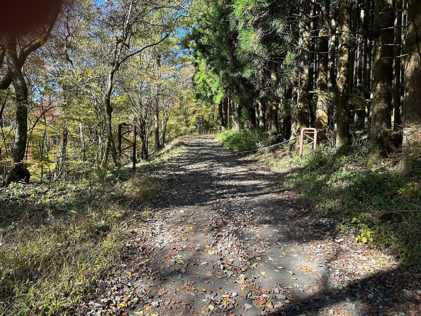 なだらかな登り道