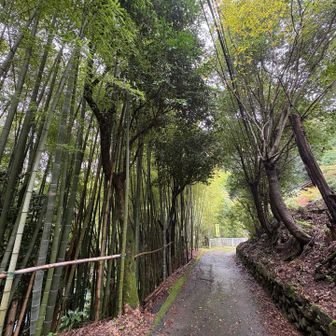 吾野駅に向かって下った