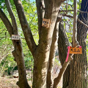 みんな作るなぁ