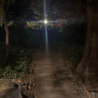 コレが何気に登山口🏔️