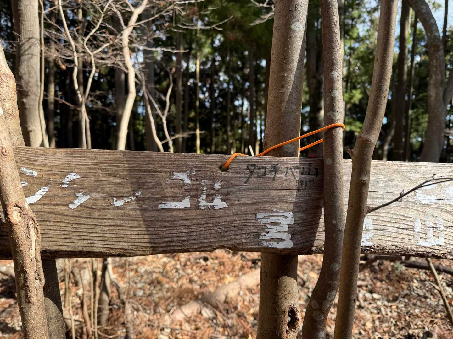 タコチバ山