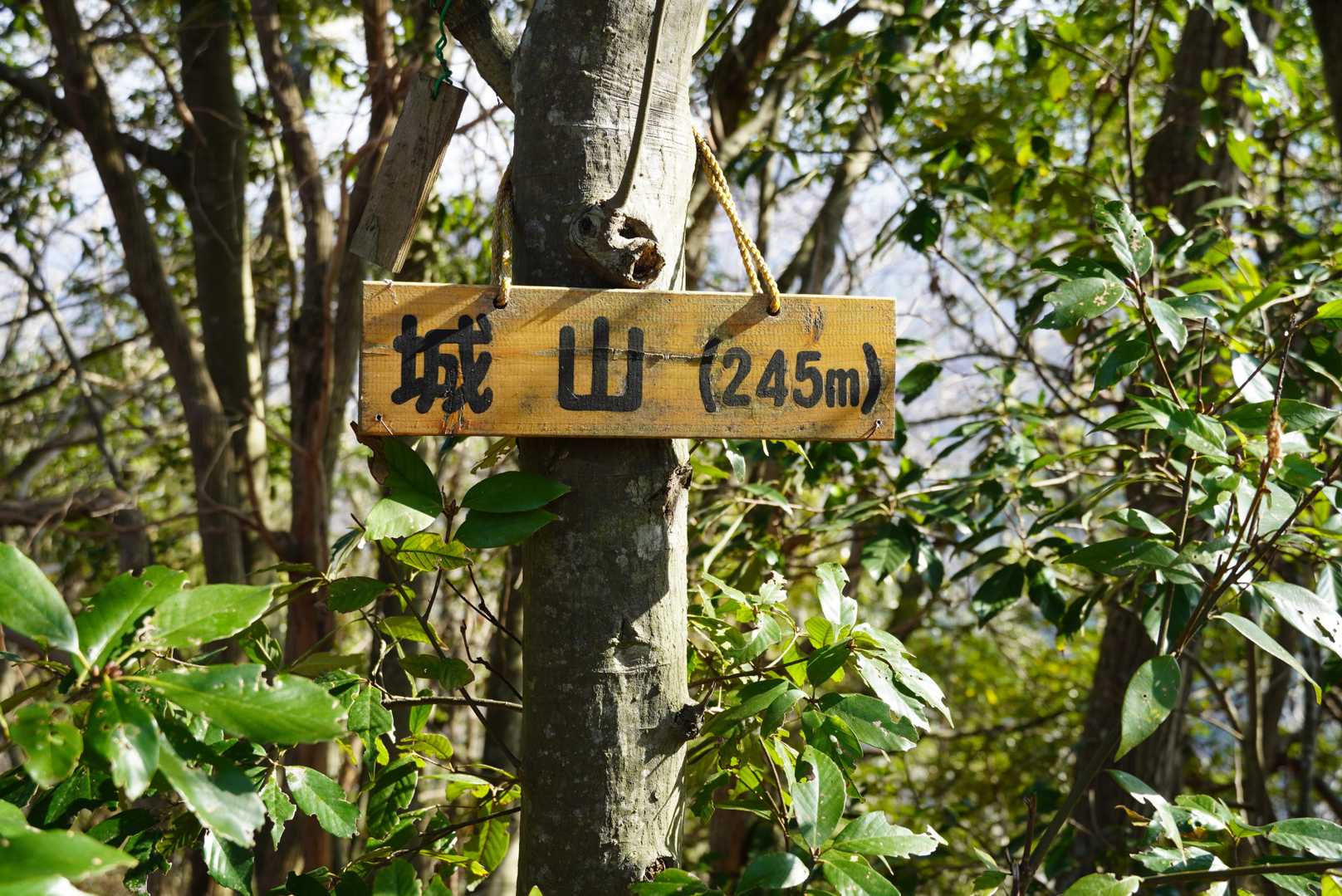 城山山頂　245ｍ
