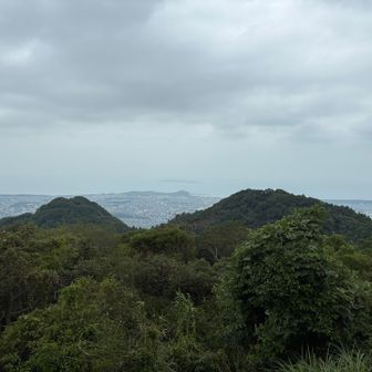 再び立花山登頂です⛰️
