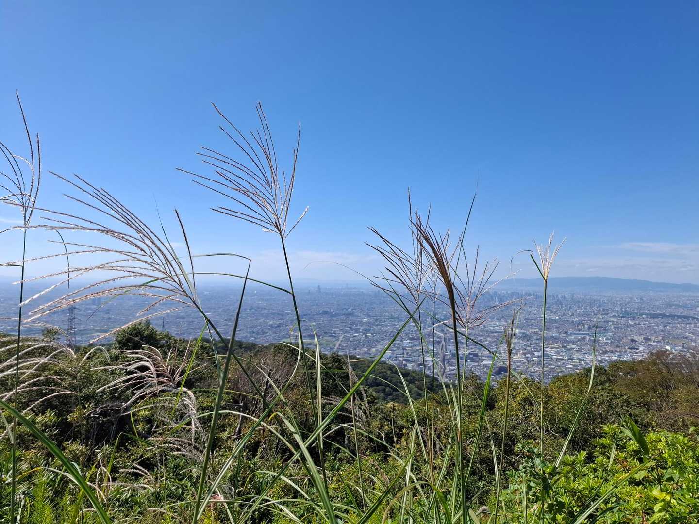 饒速日山 往復コースの写真
