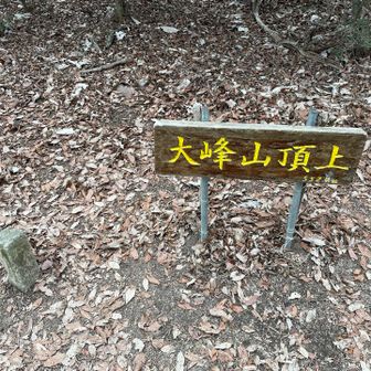大峰山登頂
桜の園からだらだらとしたアップが続き中々しんどかったです😩
