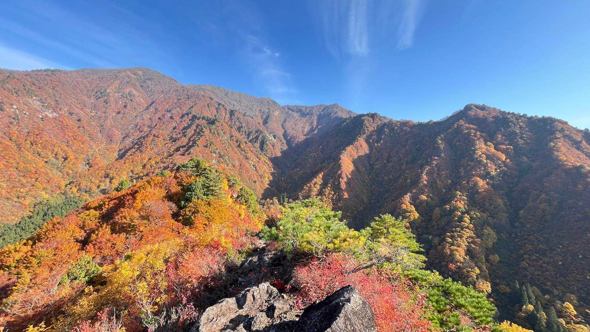おすすめしてくれた地元の方に感謝です😊
