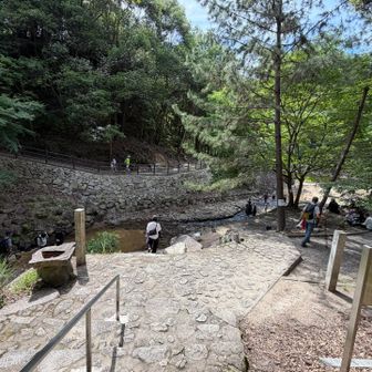 昔は土砂災害が多発していたこの地も水分峡大堰堤が出来たおかげで今は家族連れで賑わう憩いの場になったんですね🥰


宮島PAの北海道ソフトクリームがバリうまでした😋🍦