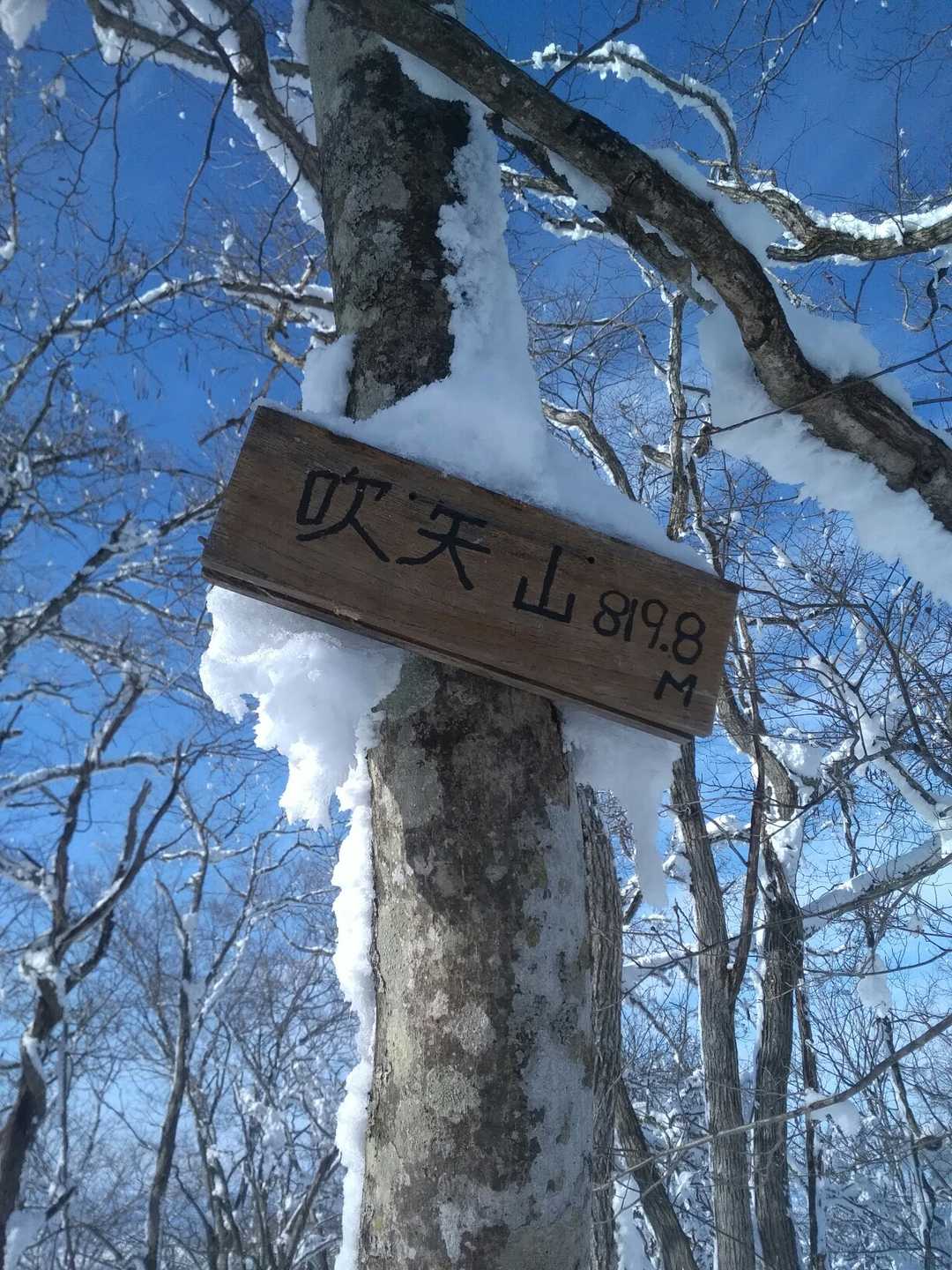 声に出して喜んだ、昭和生まれの根性😂