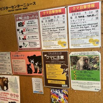 九州は熊いないので、ドキドキします