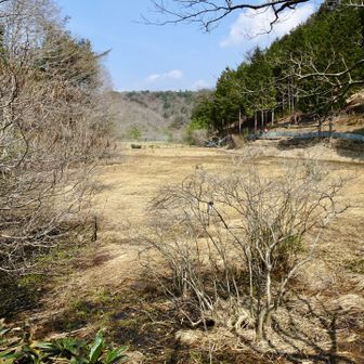 南部湿原
何も咲いてないですね😅
