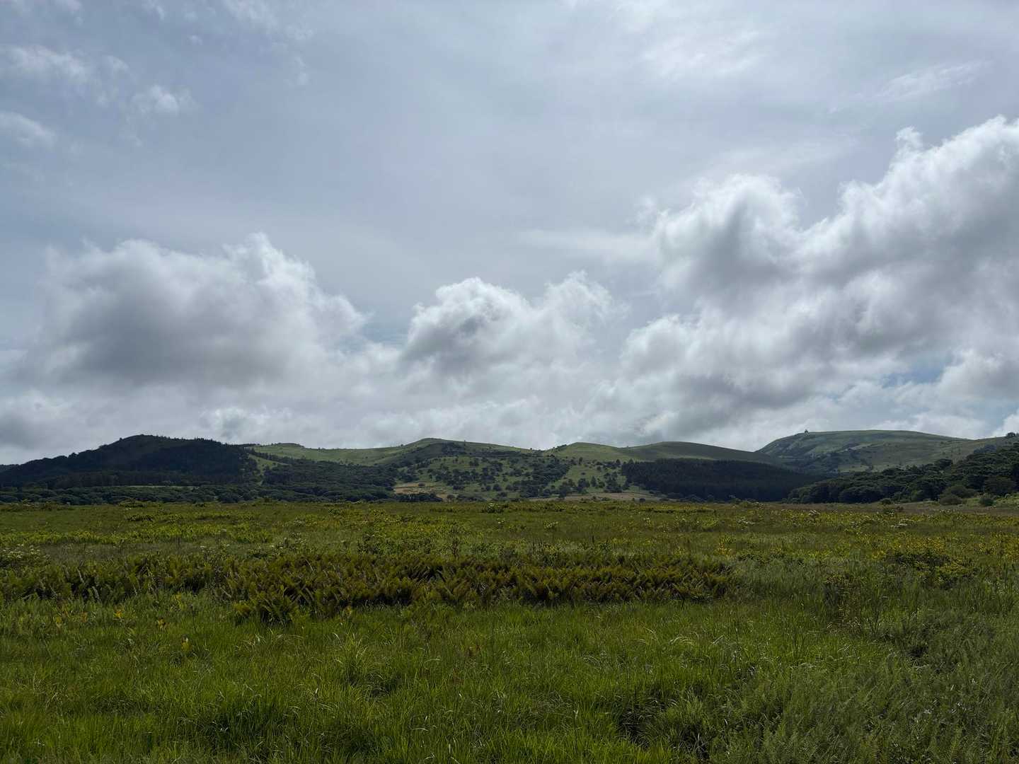 八島湿原バス停-八島湿原入口-霧ヶ峰湿原植物群落-男女倉山 周回コースの写真