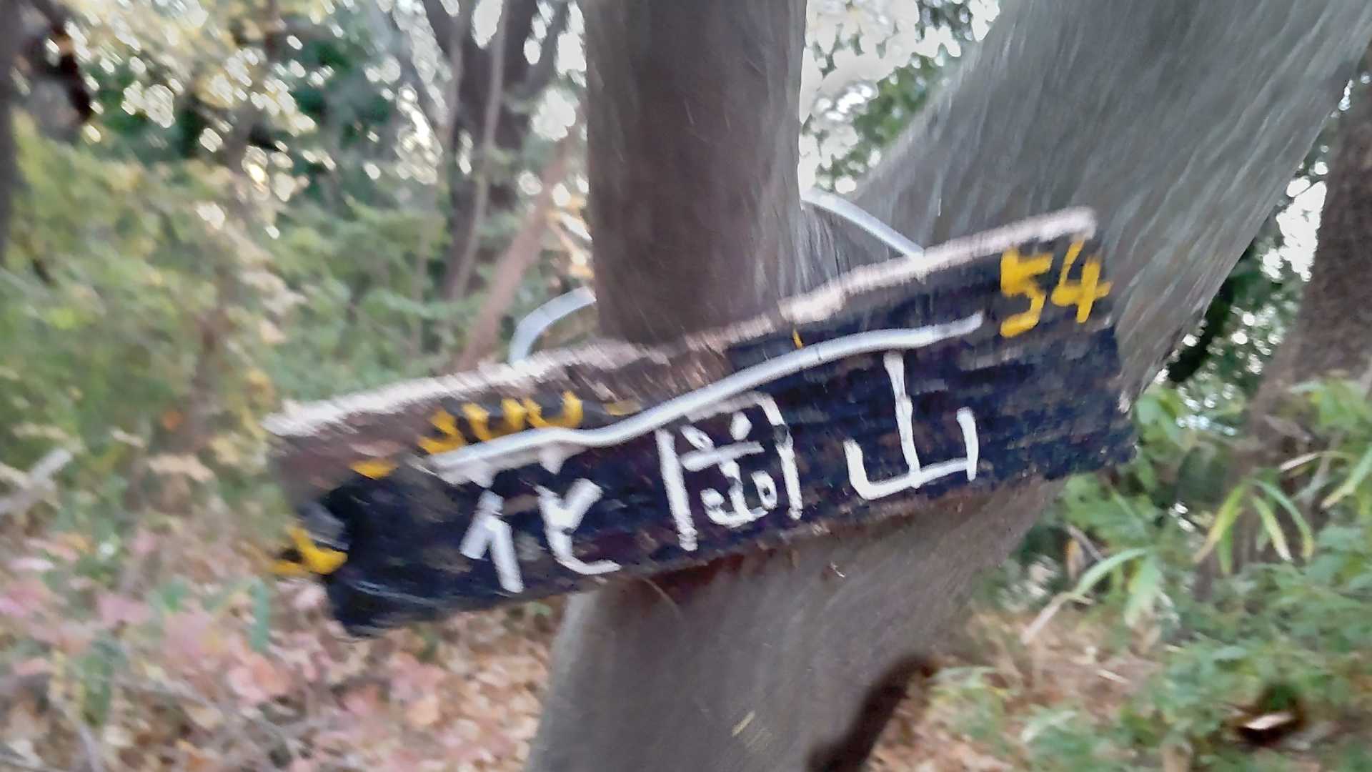 薄暗くて気持ち悪かったけど標高54㍍の花岡山。昔は古墳と思っていた😅