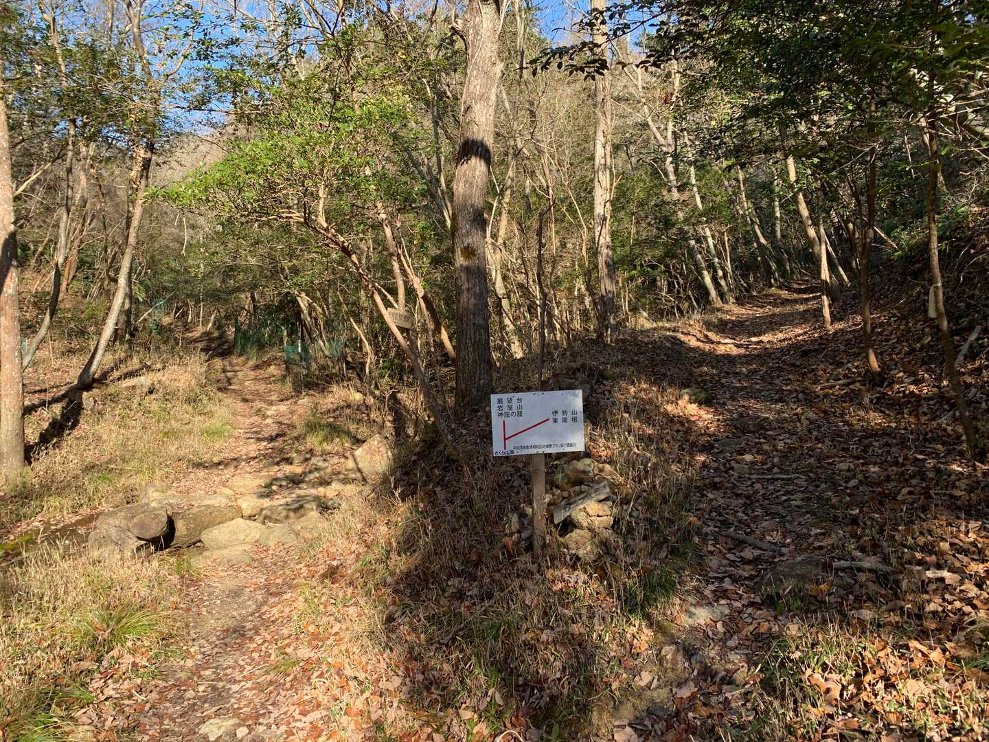 伊勢山をめざして、さくら広場 から分岐を右のルートで歩きました